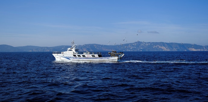The reported yacht incident comes as attacks on Saudi Arabia's critical infrastructure have affected Indian nationals. (Image for representation: Reuters) The reported yacht incident comes as attacks on Saudi Arabia's critical infrastructure have affected Indian nationals. (Image for representation: Reuters)