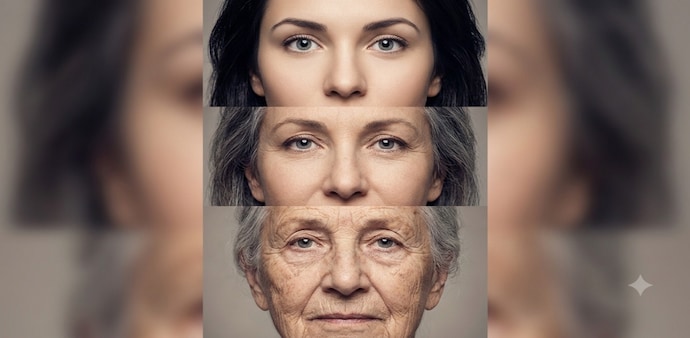 Studies in animal models have suggested that removing senescent cells can improve physical function and, in some experimental settings, extend lifespan. Studies in animal models have suggested that removing senescent cells can improve physical function and, in some experimental settings, extend lifespan.