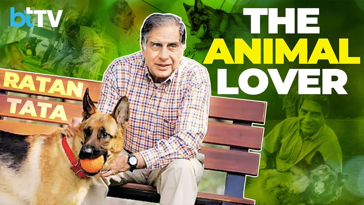 #RatanTata #RatanTataSir #TatasLoveForPets #VIPEntryForStrays #RatanTataLegacy #TataGroup  