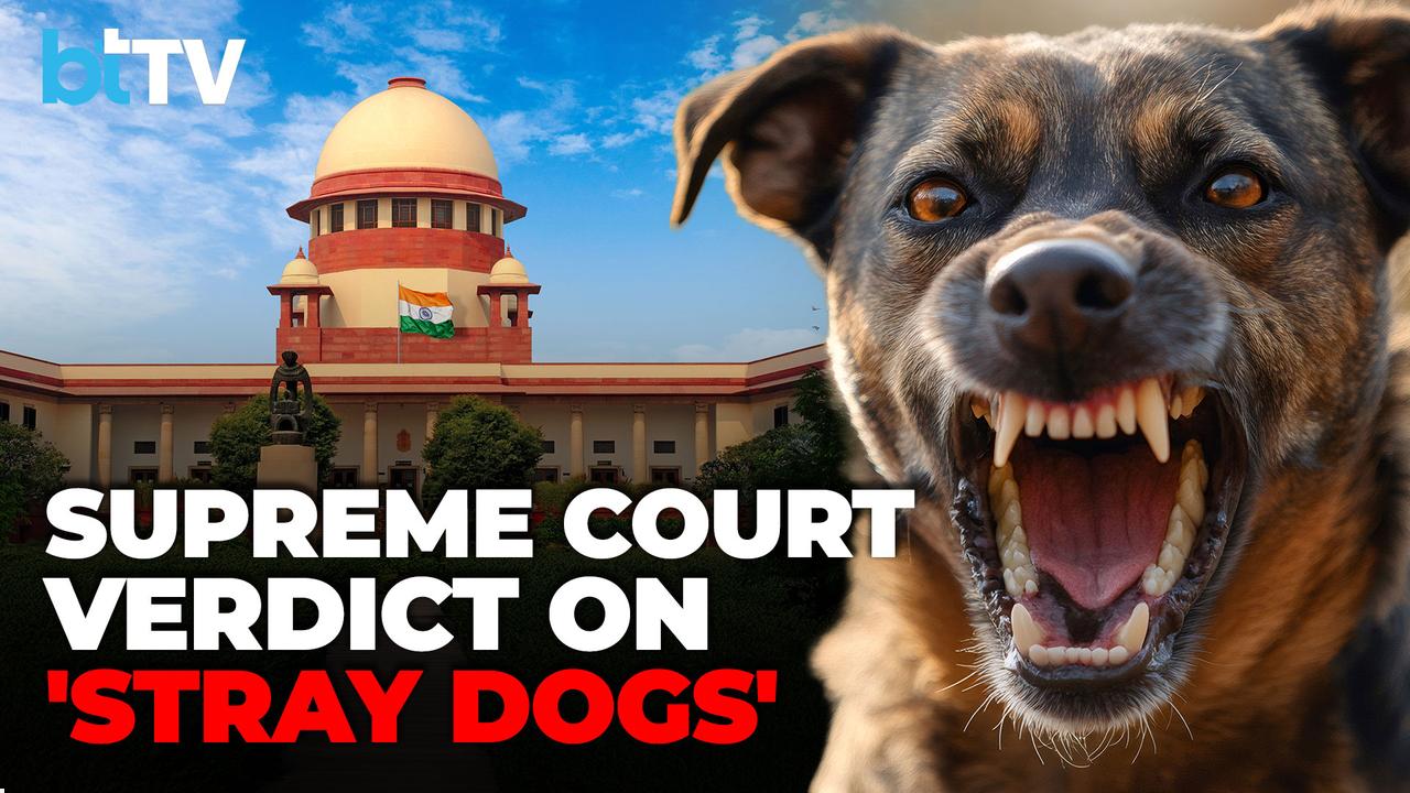 SC Order On Stray Dogs: Relocate Stray Dogs Around Delhi-NCR To Shelters & Sterilize Them For Safety