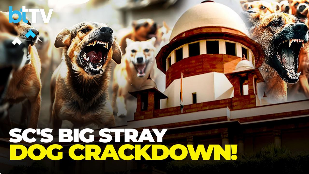 Delhi’s Stray Dog Debate: Protests Erupt Over Supreme Court’s Shelter Order