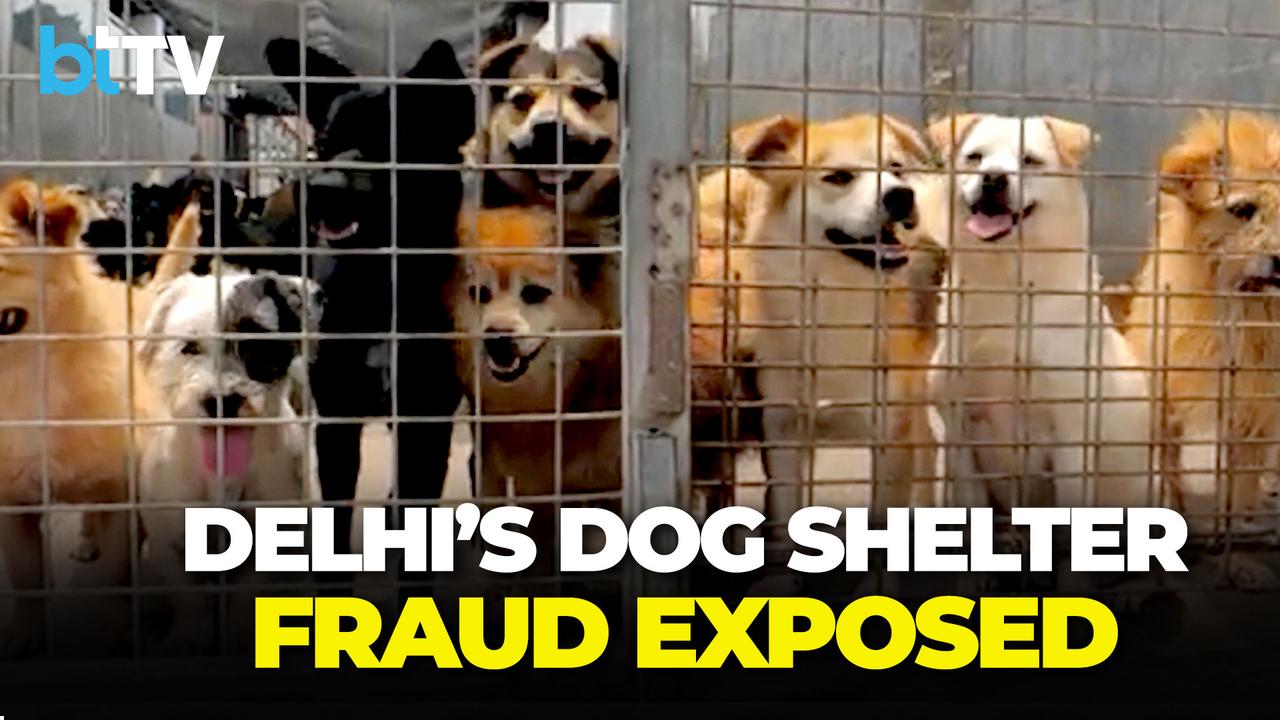 Delhi Stray Dog Drive In Chaos: Shelters Missing, Rules Broken