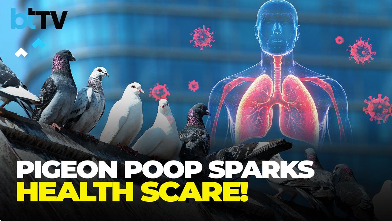 Mumbai’s Pigeon Poop Controversy: Health Hazards & Kabutarkhana Ban!