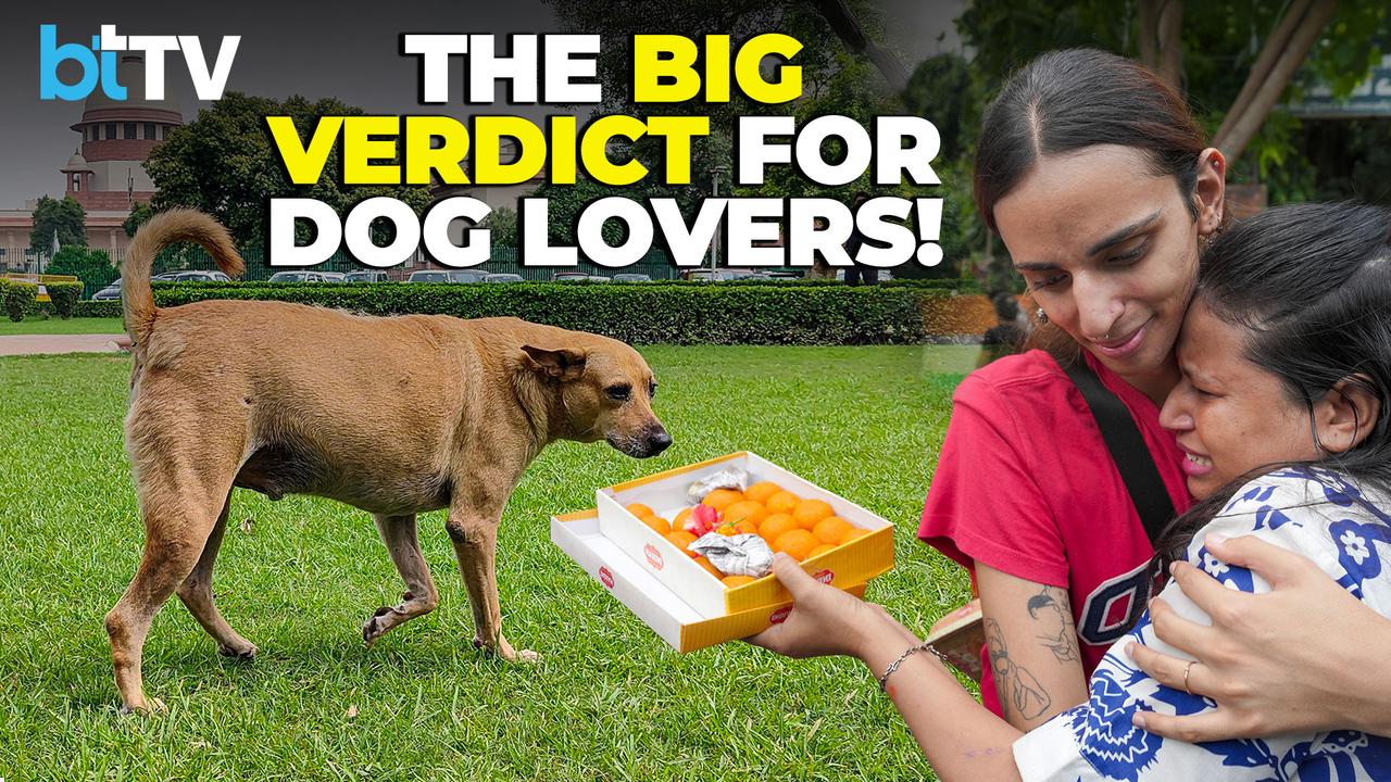 Supreme Court Rewrite The Fate Of Stray Dogs | Big Relief For Dog Lovers