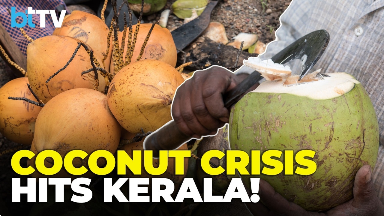 Coconut Oil At ₹430/Litre: Why Kerala’s Beloved Crop Is In Crisis