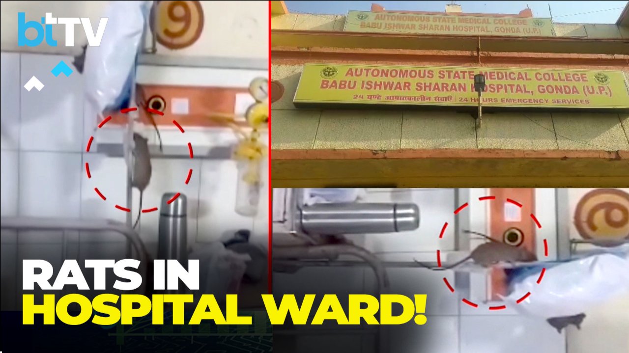 Rats Roam Around Hospital Ward In UP’s Gonda | Viral Video Exposes Shocking Hygiene Failure