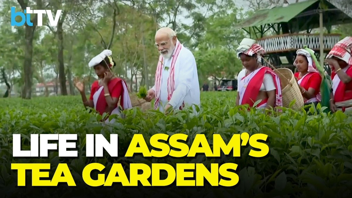 Assam Tea Workers Struggle: Rs 250 Wages, Big Promises & Votes That Can Change Power