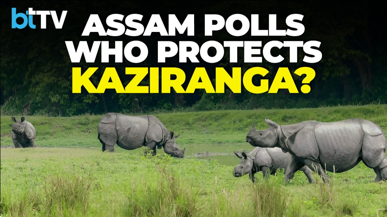 Kaziranga Takes Center Stage In Assam Polls Rhino Conservation Meets Politics And Livelihood