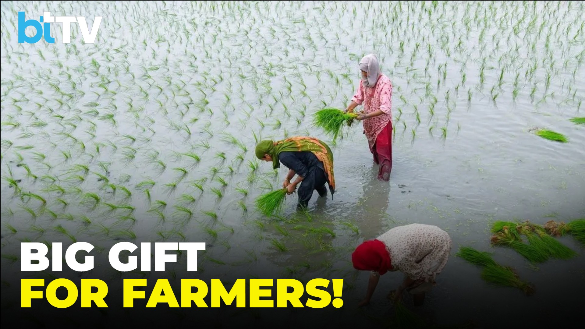 Modi Cabinet Announces Big MSP Hike For Farmers | ₹2.6 Lakh Crore Boost
