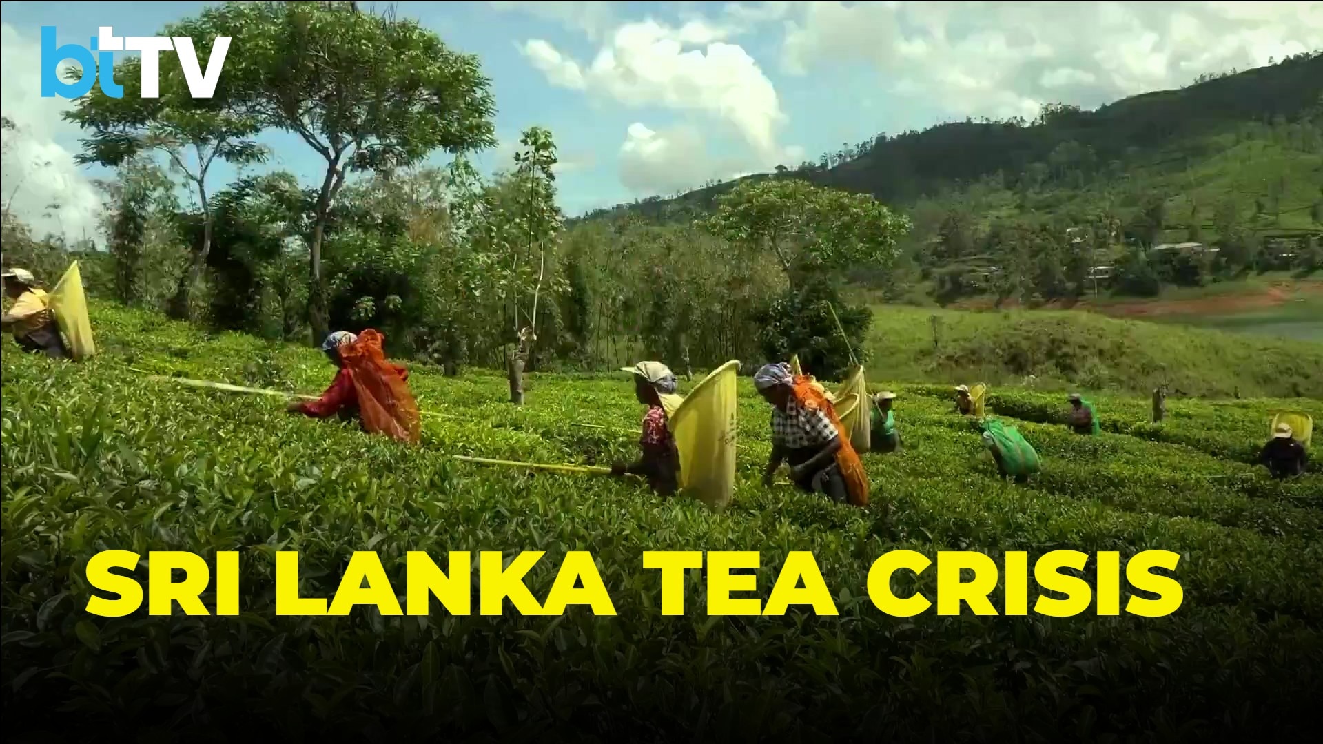 Middle East Conflict Hurts Sri Lanka Tea Industry | Ceylon Tea Exports Crash | Sri Lanka’s Tea