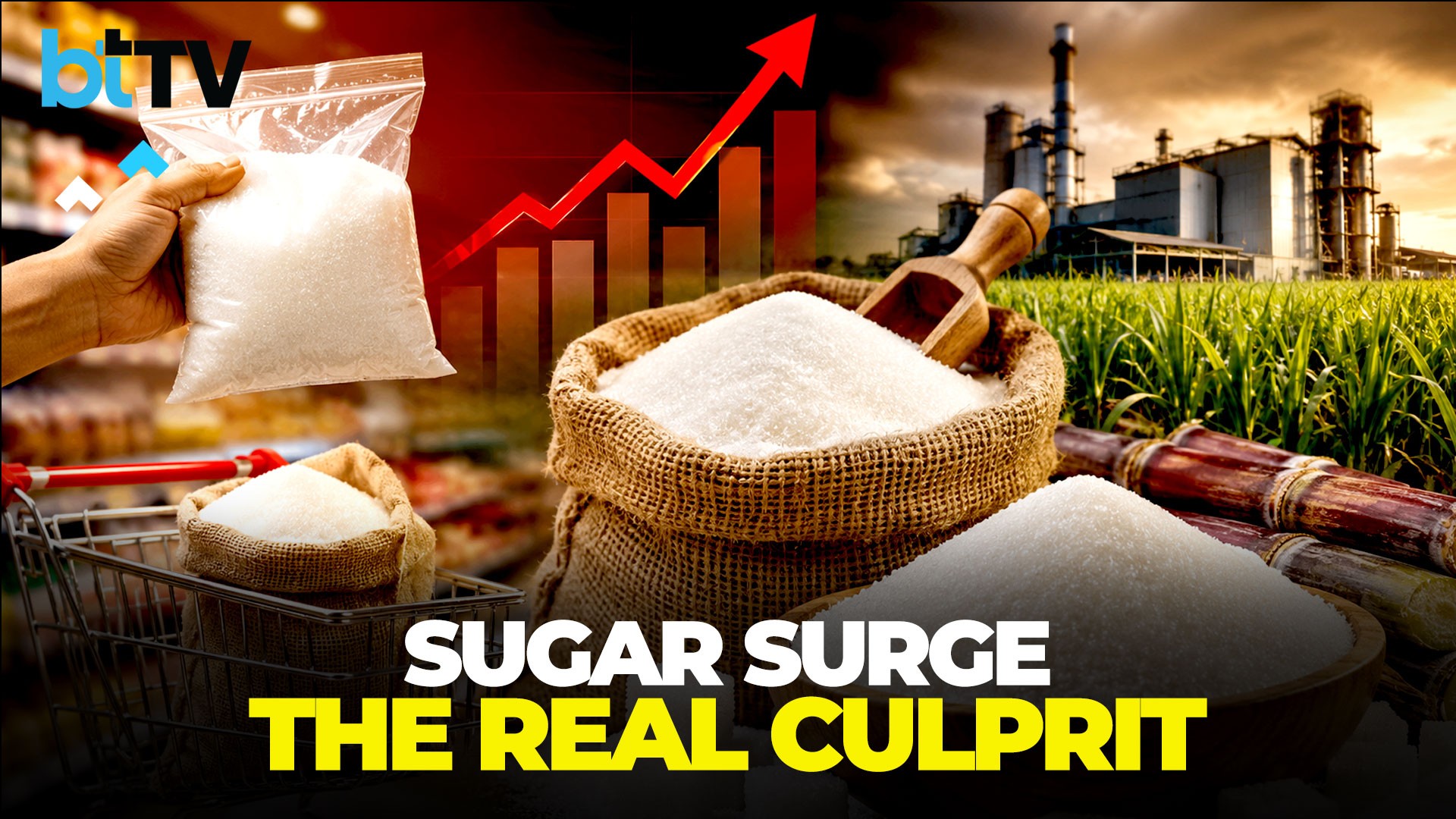 Sugar Prices Soar: Why Ethanol Diversion Is Not To Blame | What’s Really Driving The Spike?