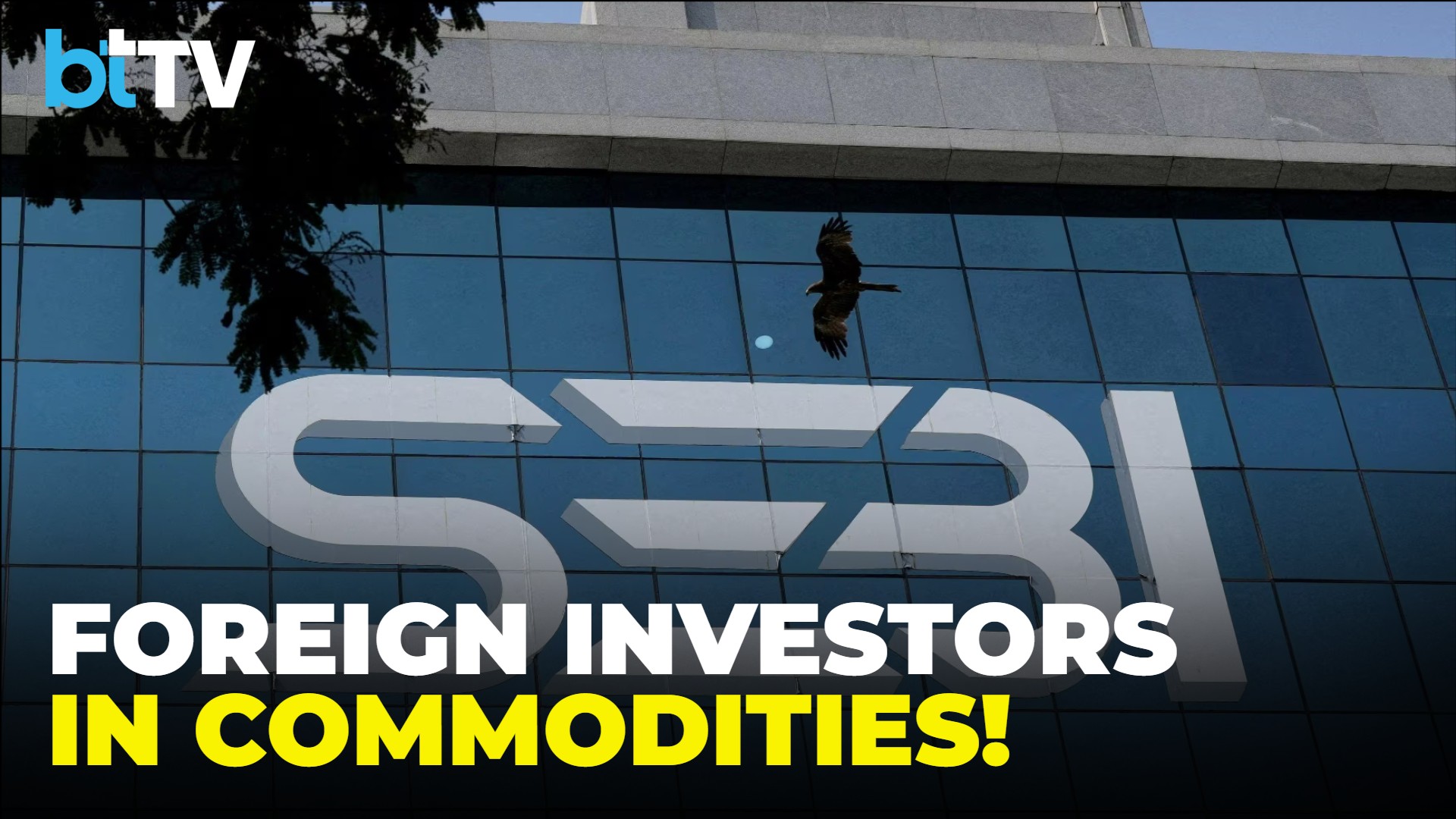 FPIs Allowed In Commodity Derivatives: How SEBI Plans To Deepen Market Liquidity