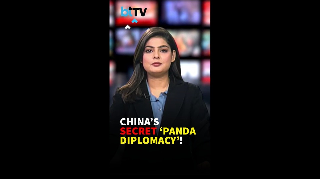 Panda Diplomacy: How China&rsquo;s Giant Pandas Be