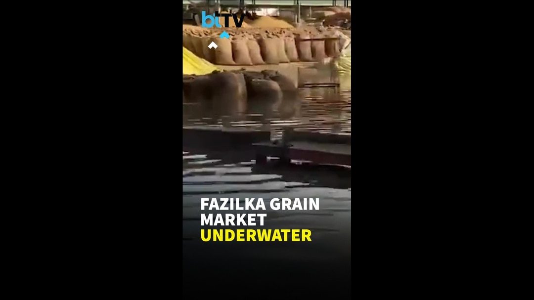 Fazilka Grain Market Flooded: Farmers Face Paddy L