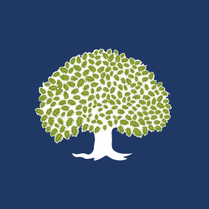 WhiteOak Capital Special Opportunities Fund Direct Growth WhiteOak Capital Special Opportunities Fund Direct Growth