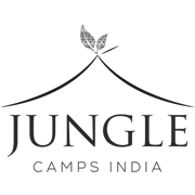 Jungle Camps
