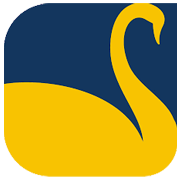New Swan