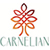 Carnelian - Carnelian YNG Strategy Carnelian - Carnelian YNG Strategy