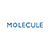 Molecule Ventures LLP