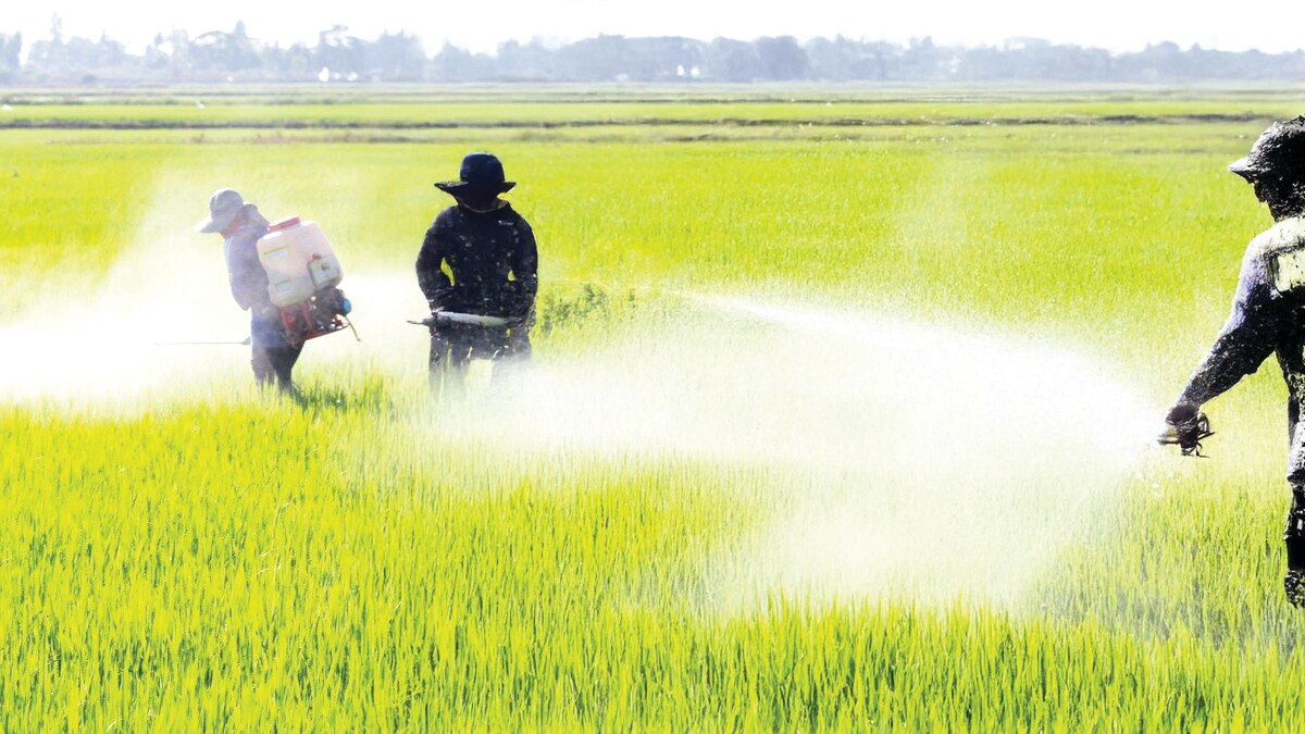 Water Saving or Conspiracy?