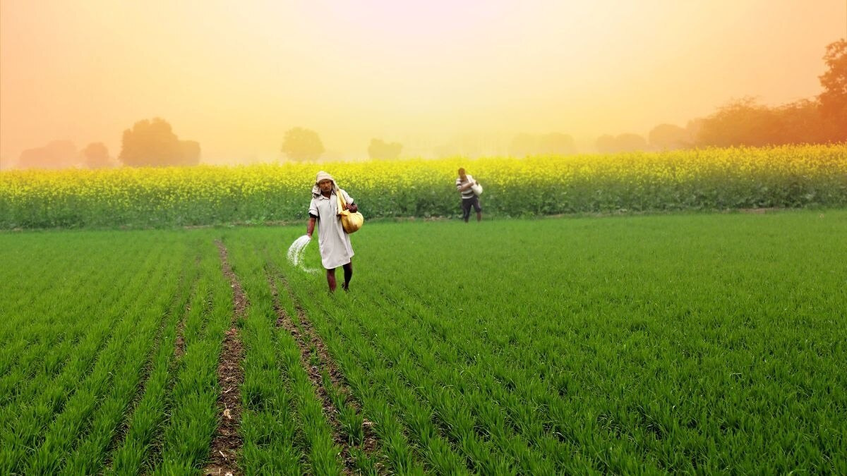 Green Urea Revolution to Begin in India