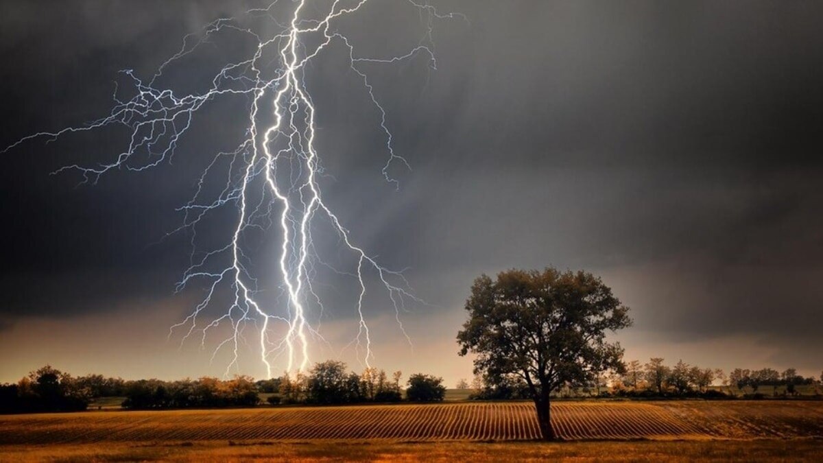 Will July Rain Disappoint and Raise Inflation?