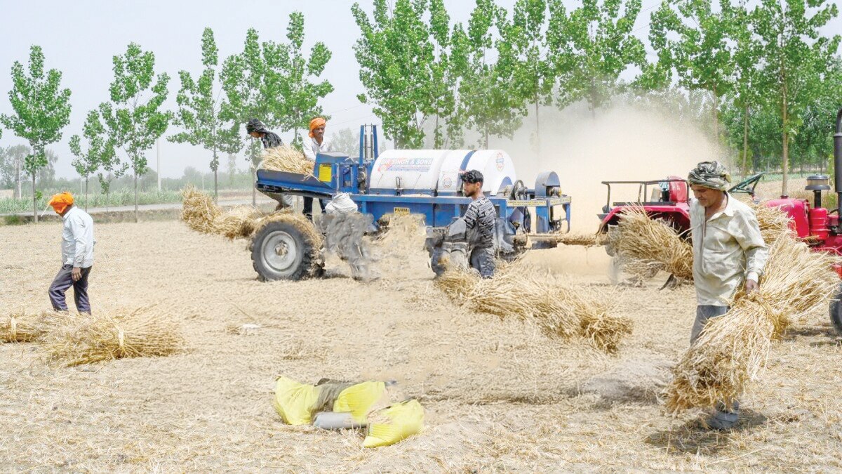 Big Gift for Sugarcane Farmers in Bihar