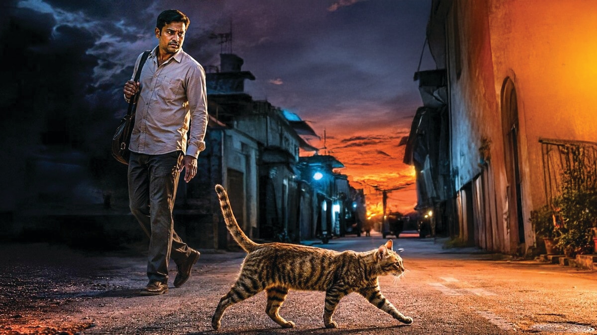 Is a Cat Crossing Your Path Good or Bad?