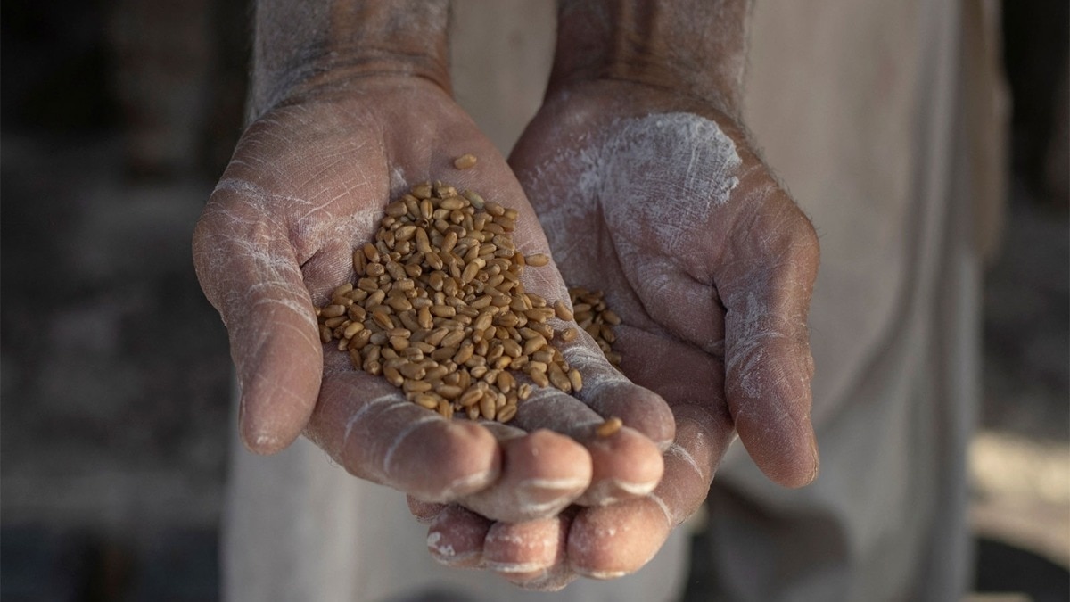 Severe Flour Crisis Looms in Pakistan: Islamabad and Rawalpindi Facing Supply Shortages