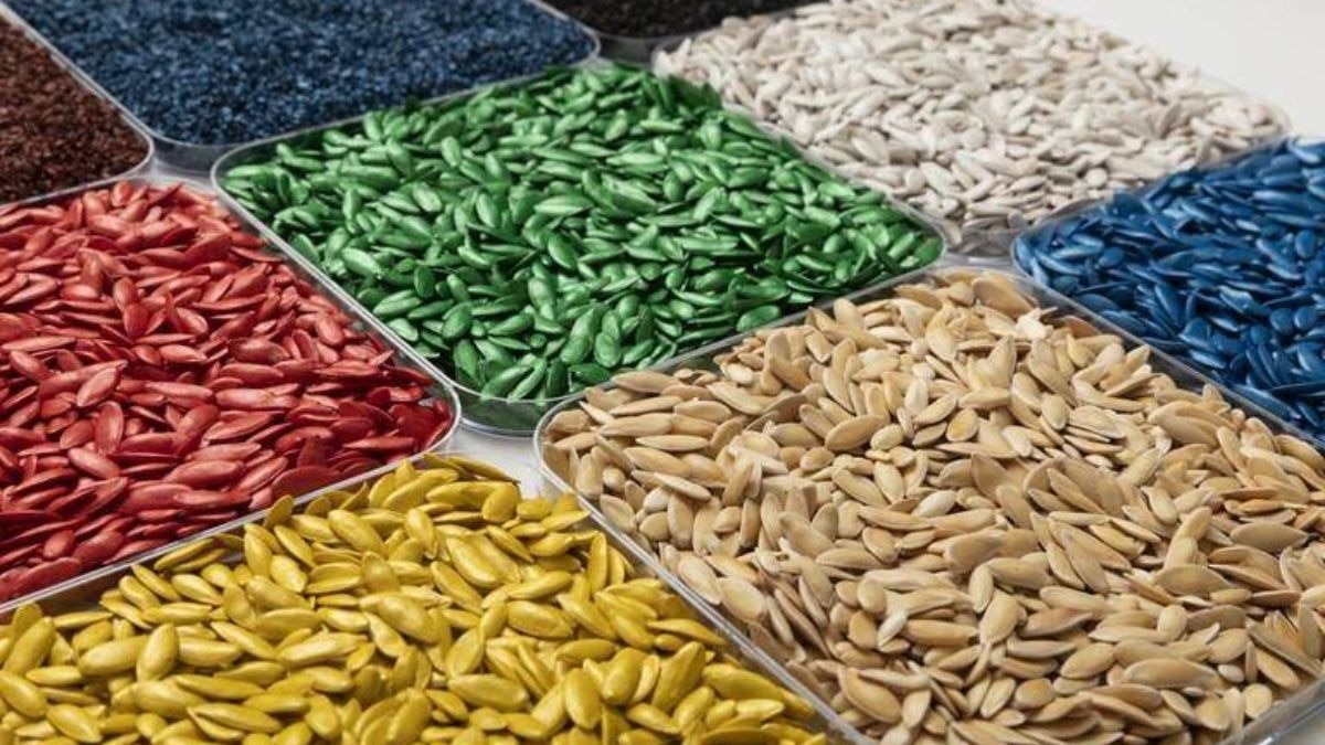 India's Significant Leap in Seed Exports: Government Updates Parliament on Growth and Streamlined EXIM Procedures