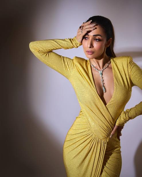 Malaika Arora Slams Bhojpuri Star Khesari Lal Yadav Over Viral Red Carpet Animal Cruelty Video