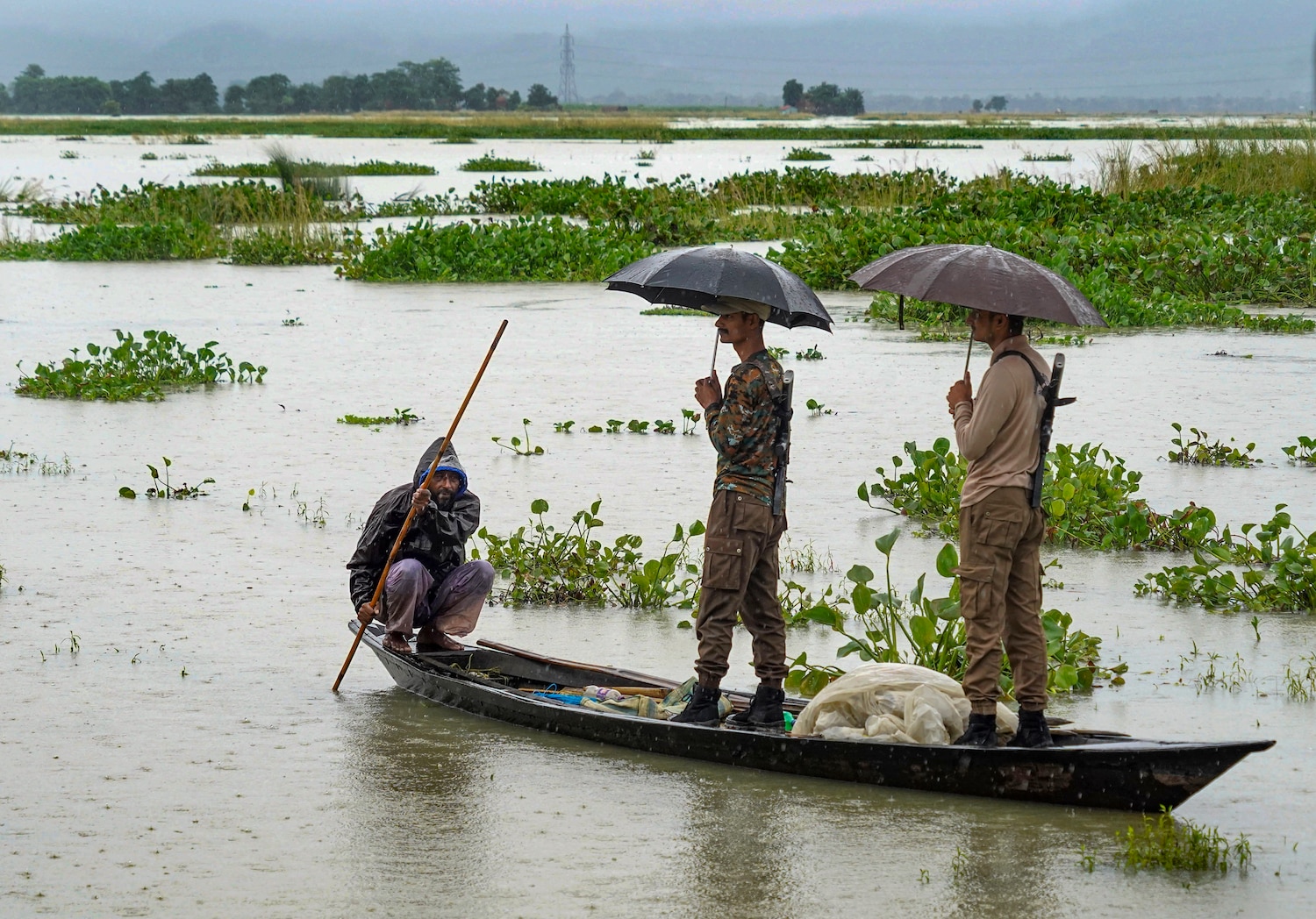 Severe Floods in Assam Submerge 25,000 Hectares of Crops; Death Toll Reaches 47