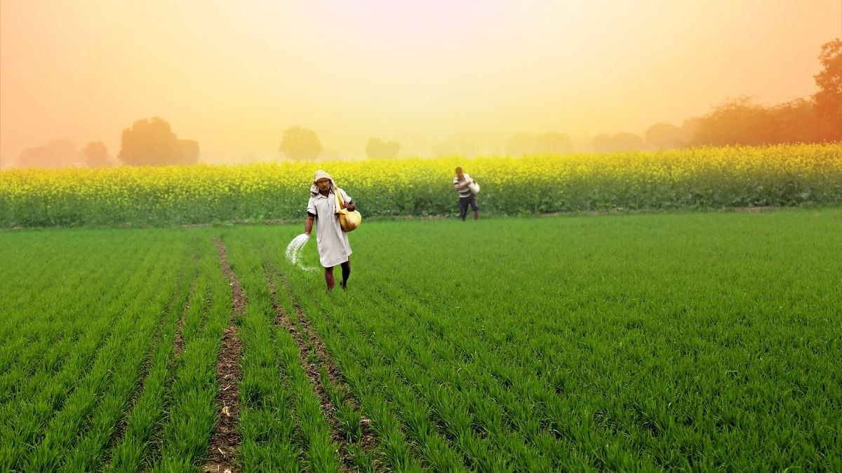 No Shortage of Urea for Kharif Season: Government Assures Ample Stock and Boosted Domestic Production