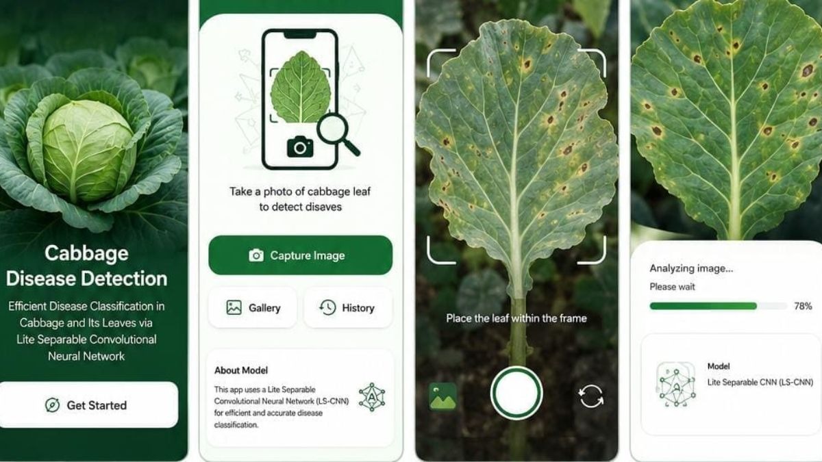 Now AI Will Diagnose Crop Diseases: IIIT Kota Scientists Develop Indigenous Technology