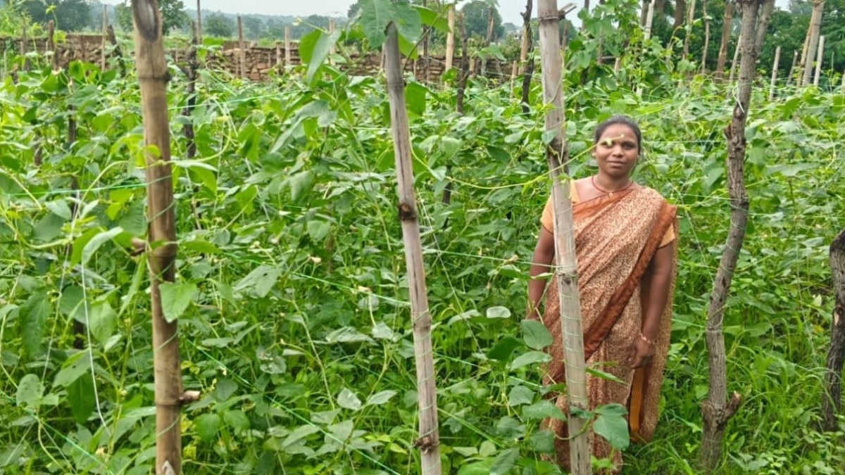 How Scientific Farming Changed the Fortune of Woman Farmer Vimala Didi in Chhattisgarh