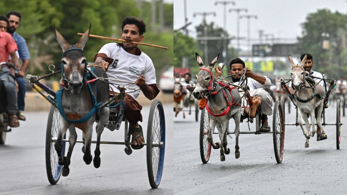 कराची में हुई गधों की रेस