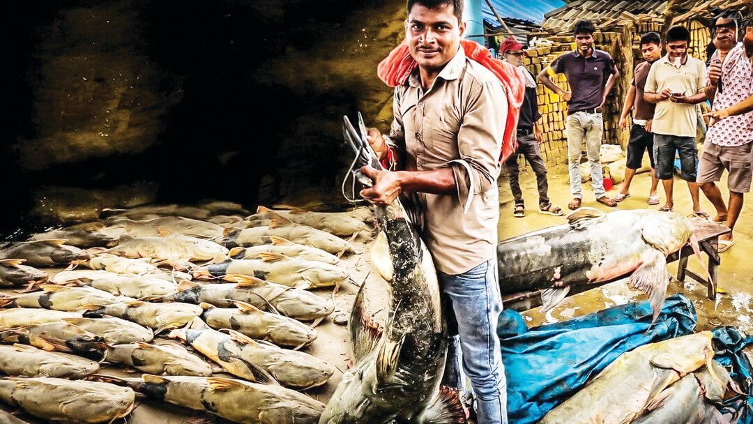 नेपाल की बाढ़ बनी बिहार के मछुआरों के लिए वरदान!