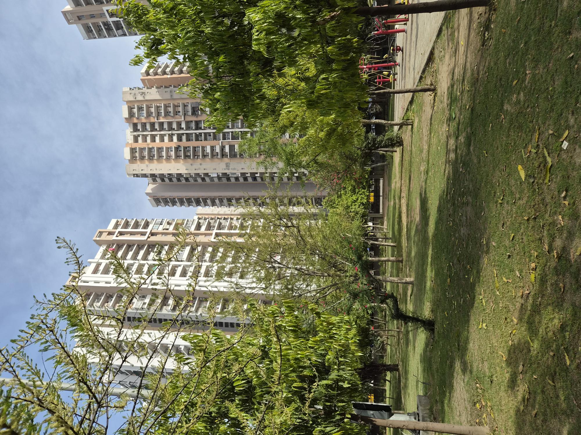 20260331_082224.jpg
