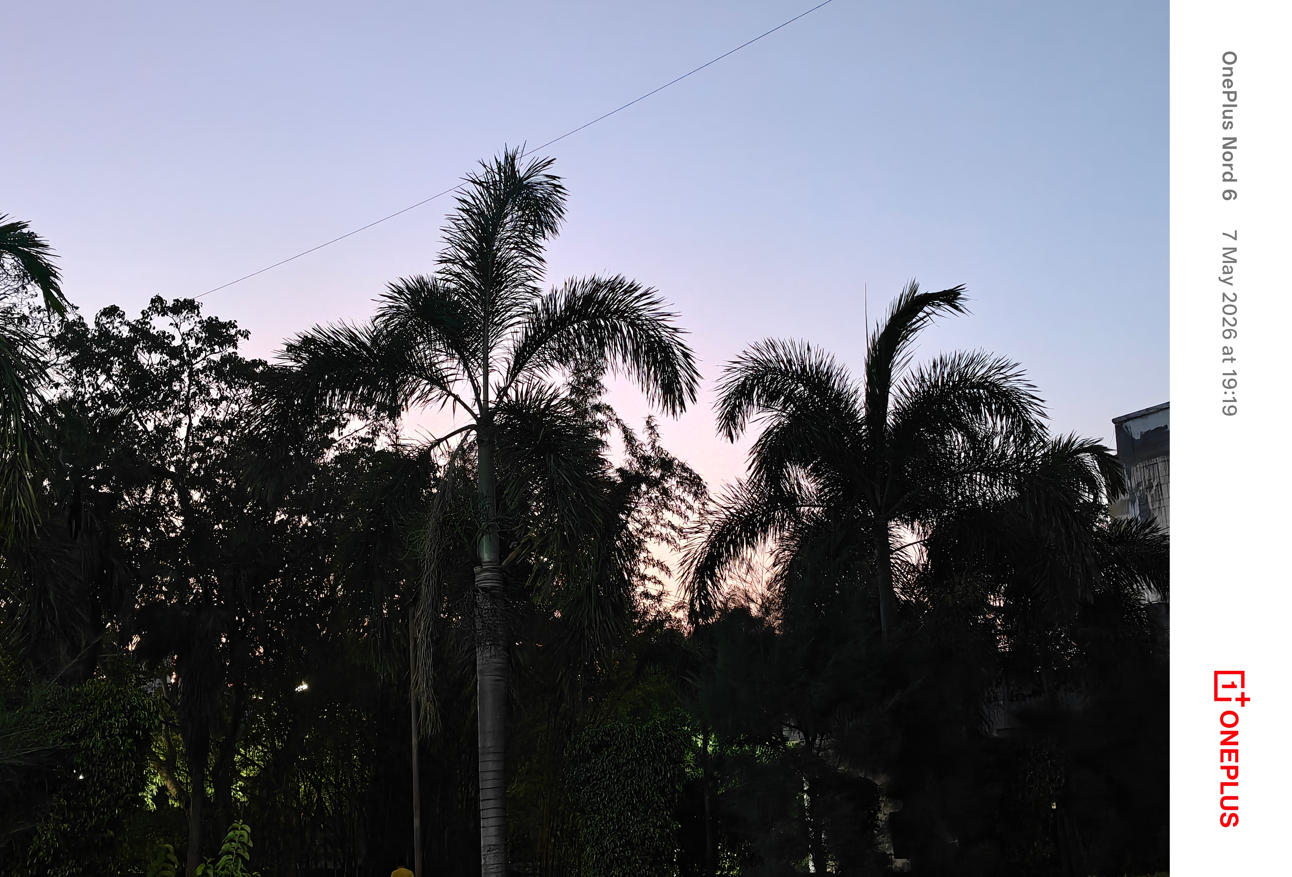 img20260507191942.jpg