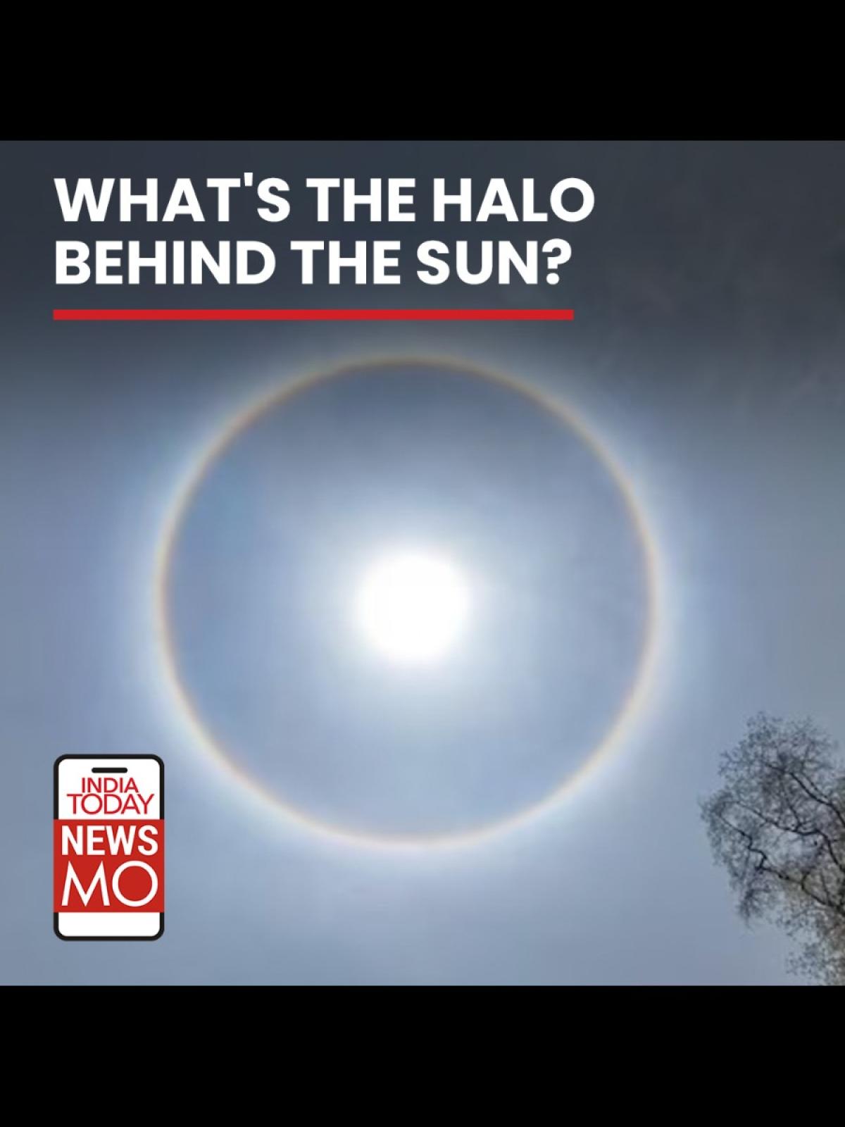 Aprender acerca 72+ imagen what does halo mean Viaterra.mx