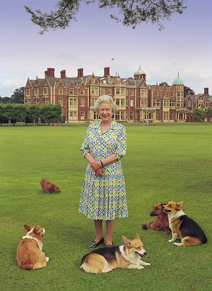 Queen Elizabeth Dogs | queen elizabeth is mourning the death of her last corgi Queen Elizabeth Dogs | queen elizabeth is mourning the death of her last corgi