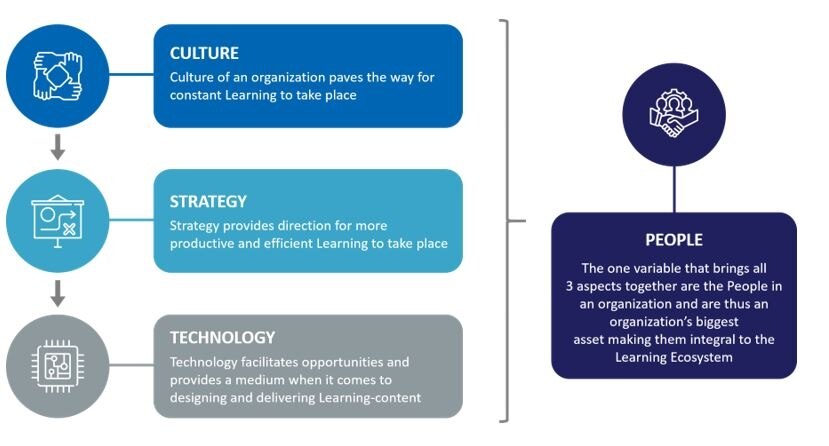 Why it is important to create an effective learning ecosystem ...