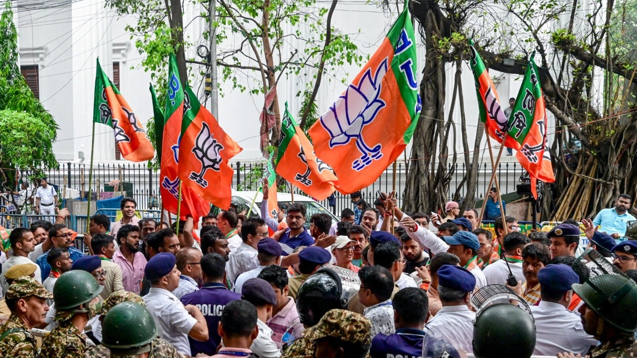 BJP flags