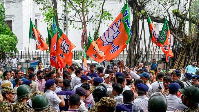 BJP flags