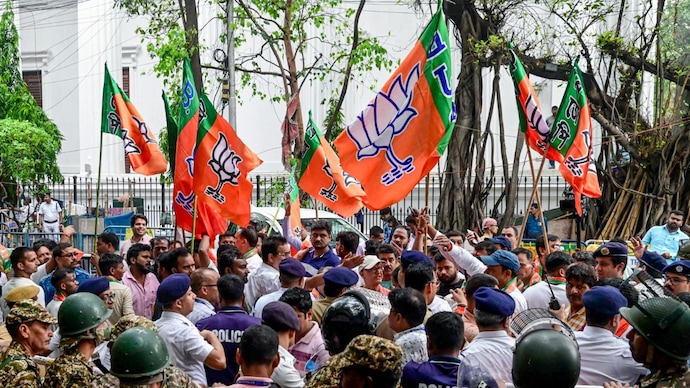 BJP flags