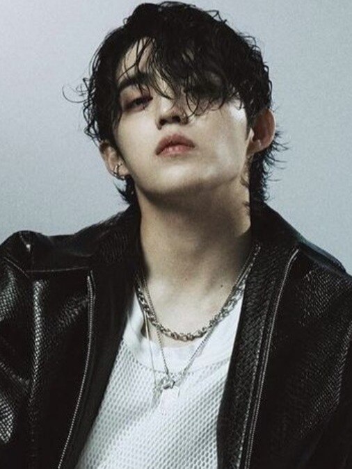 SEVENTEEN leader S Coups to go on a hiatus following his knee