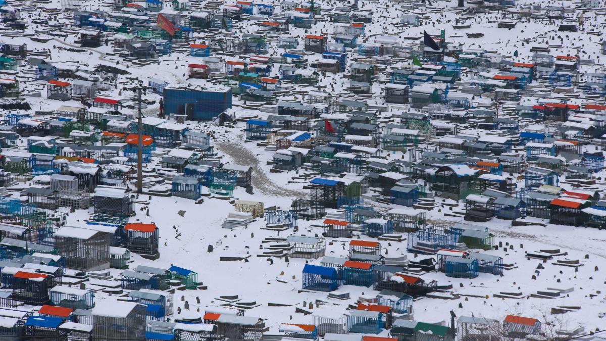 Afghanistan faces coldest winter in 15 years | In Pics - Vimarsana News