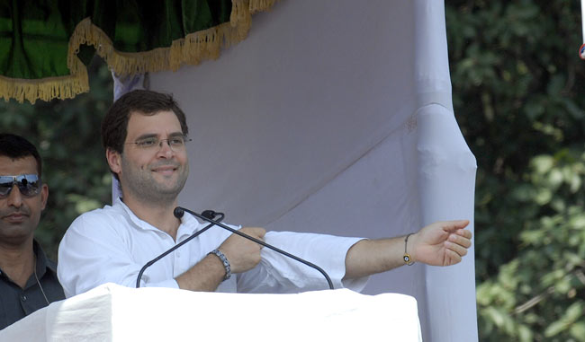 Rahul Gandhi over the years in photos