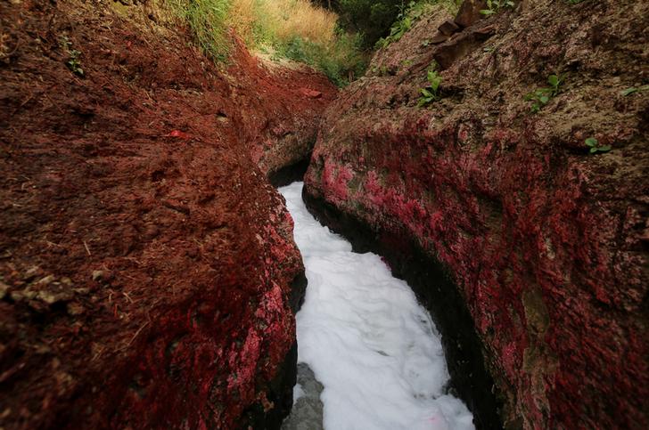 Ganga succumbs to pollution as crystal clear river transforms into toxic sludge | PICTURES