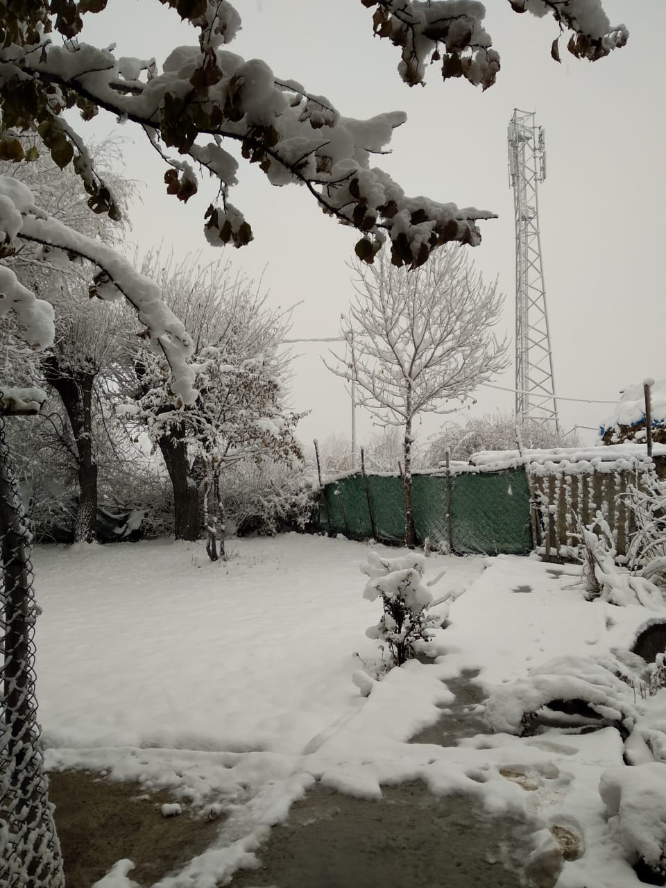 Kashmir welcomed November with a fresh spell of snowfall